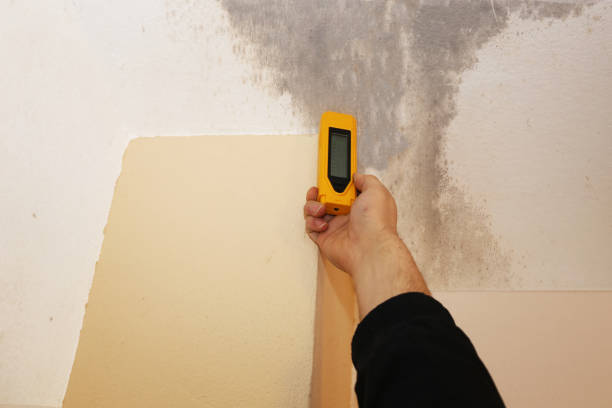 Best Water Damage & Mold Remediation  in Cvallis, OR