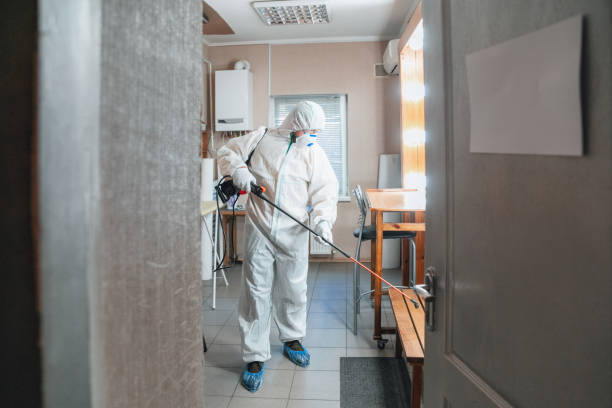 Mold Documentation for Insurance Claims in Corvallis, OR