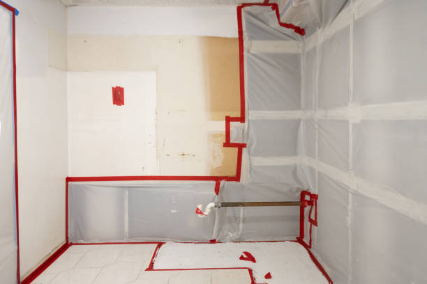 Best Mold Documentation for Insurance Claims  in Cvallis, OR