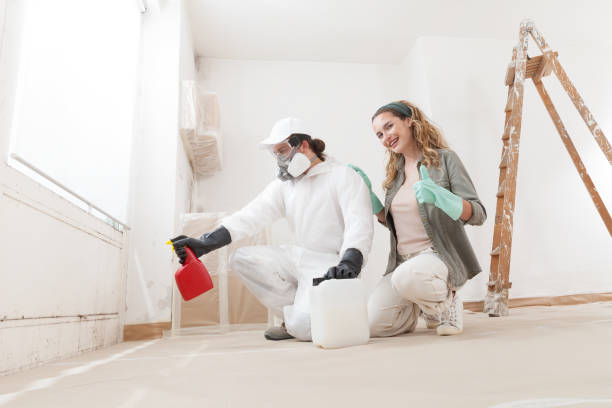 Mold Odor Removal Services in Corvallis, OR